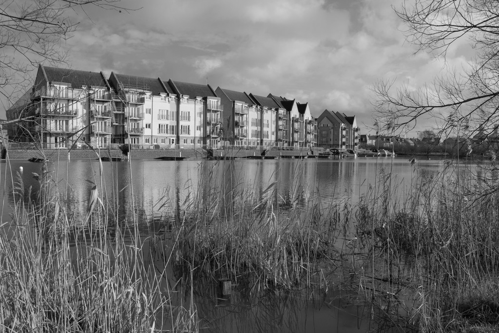 townhouses beside the river FoR 2021 by busylady