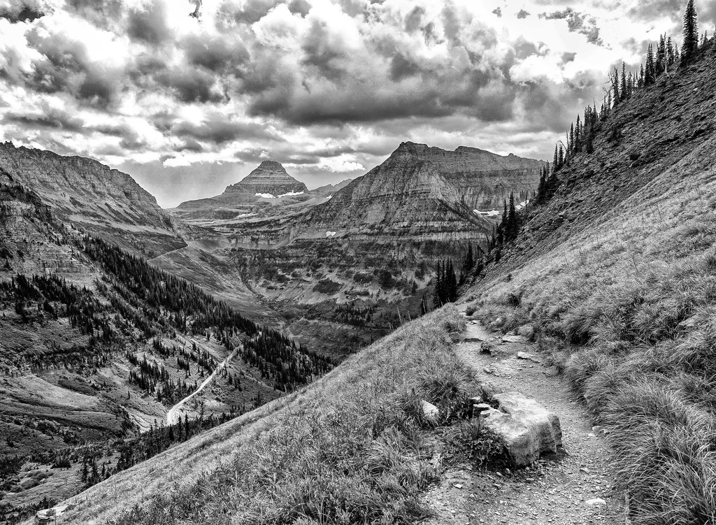 Hiking the Highland Trail at Glacier National Park by milaniet