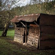 2nd Feb 2021 - Orchard Shed