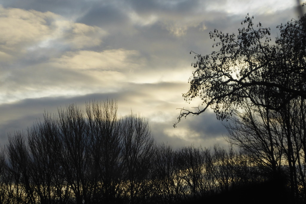 Moody sky by speedwell