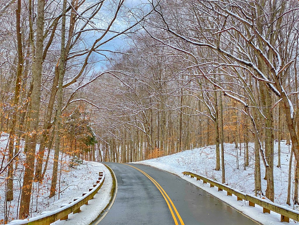 Wintry Prince William Forest Park  by khawbecker