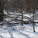 Winter wonderland 2 by larrysphotos