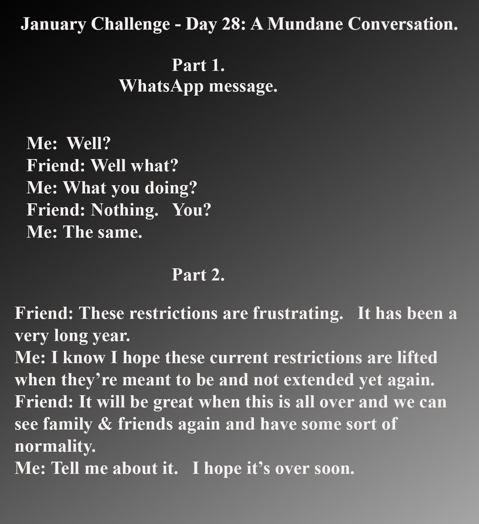 January Challenge - Day 28: A Mundane Conversation by la_photographic