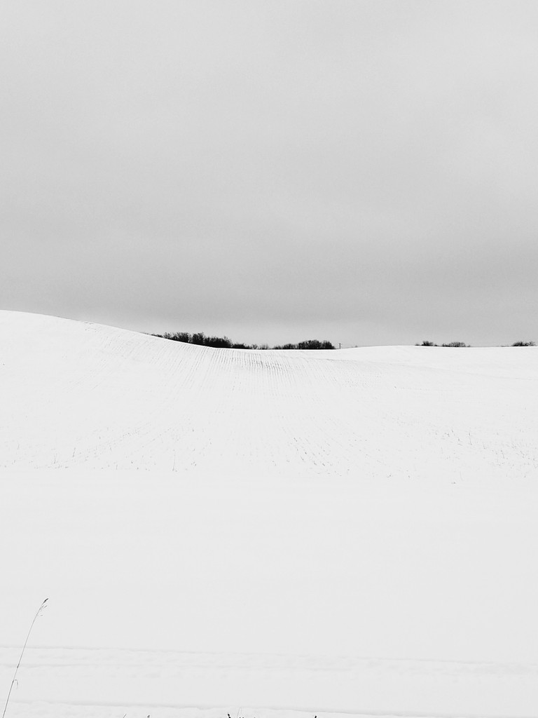 Snowy field abstract by ljmanning
