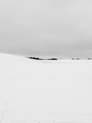 31st Jan 2021 - Snowy field abstract