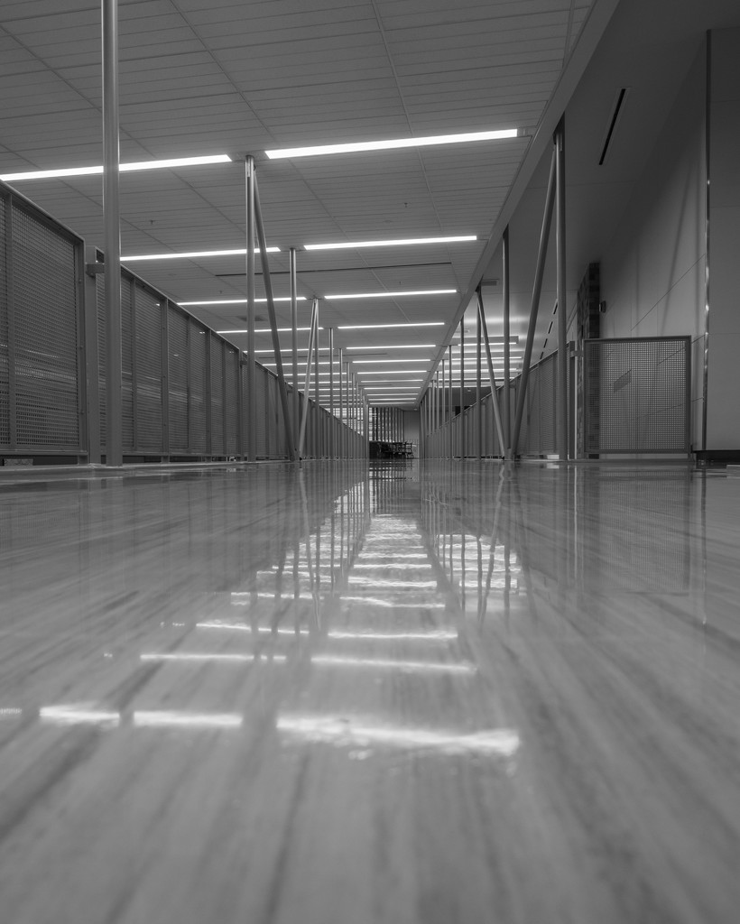 Empty hallways by sschertenleib