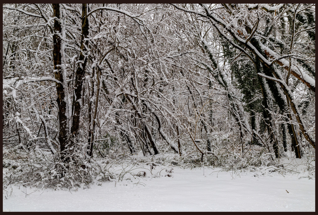 Winter Landscape by hjbenson