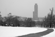2nd Feb 2021 - Cathedral Of Learning