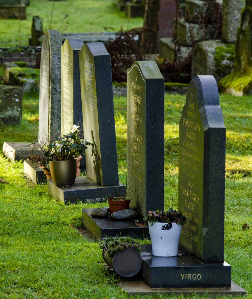 Graves in the sunlight by clivee