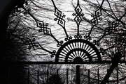 3rd Feb 2021 - Hřbitovní brána
