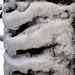 Tiger Stripe Snow by meotzi