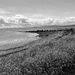 Galway Bay by beckyk365