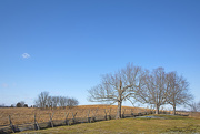 2nd Feb 2021 - Perryville Battlefield State Historic Site