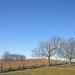 Perryville Battlefield State Historic Site by lstasel