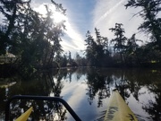 3rd Feb 2021 - Peaceful Paddle