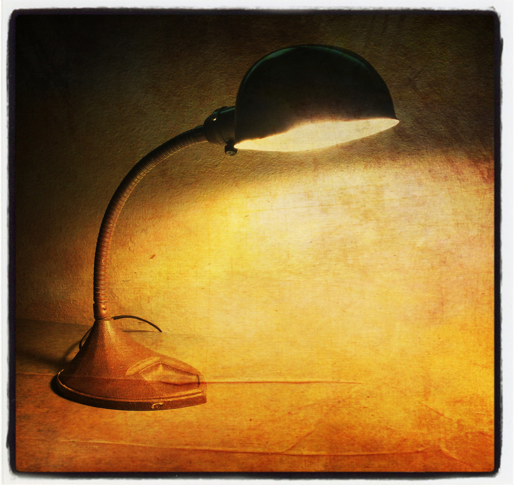 Lamp light by jeffjones