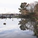 Day35 Walkden fishing pond by delboy207