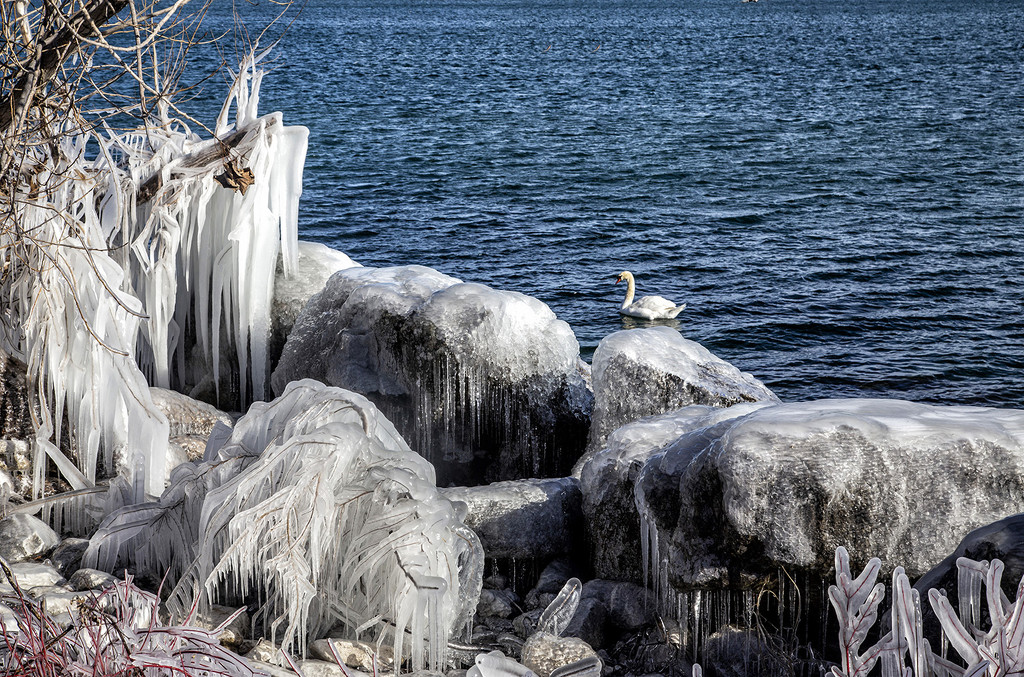 Humber Bay Park in Winter by pdulis