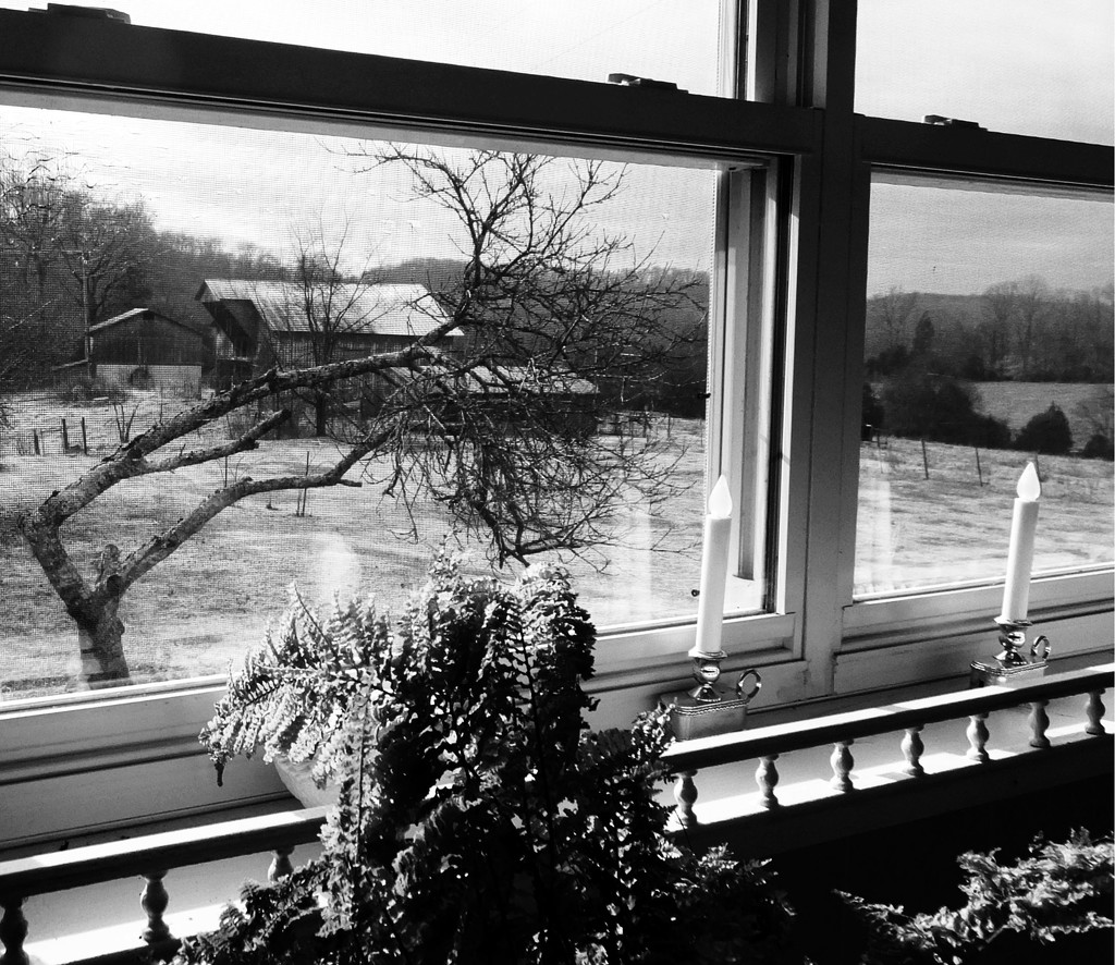 Through The Farm Window by linnypinny
