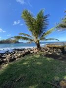 27th Jan 2021 - Keokea Beach, Big Island Hawaii