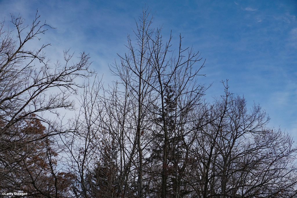 Clear winter sky by larrysphotos