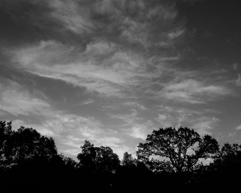 February 3: Clouds at Sunrise by daisymiller