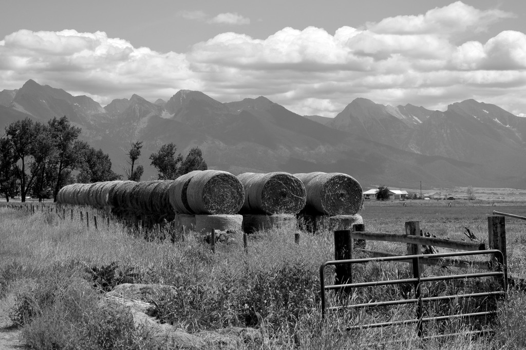 FOR2021 - Scenic Rural Montana by bjywamer