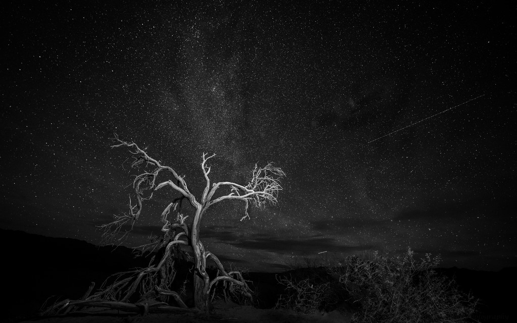 Nighttime in Death Valley - 2015 v1  by taffy