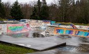 4th Feb 2021 - ~Skate Park~