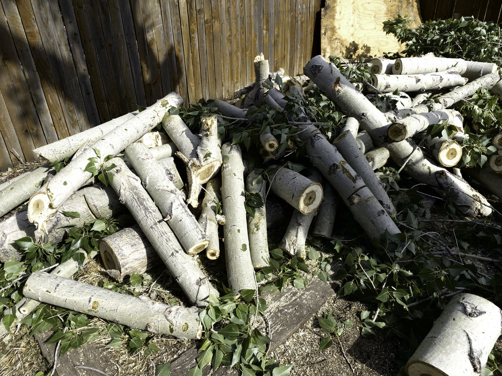 Lumber pile by jeffjones