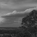 cloudscape by koalagardens