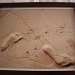 Footprints in the sand by bruni