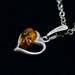 Amber In A Heart...DSC_4992 by merrelyn