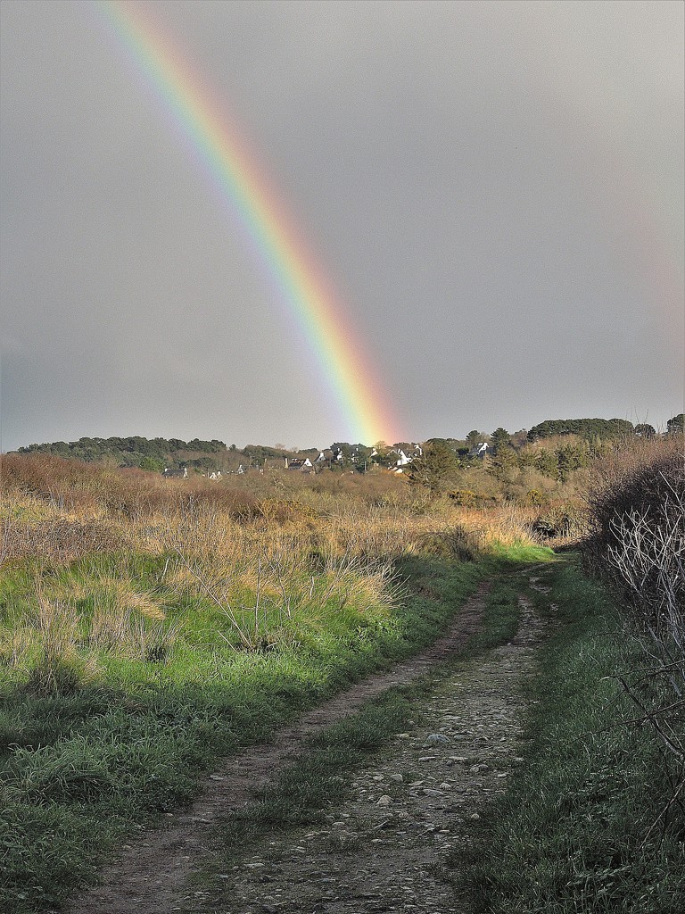The path to the rainbow by etienne