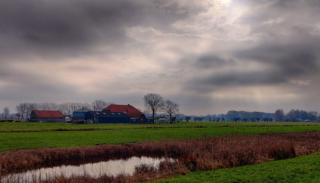 The old country by geertje