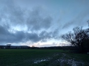 5th Feb 2021 - Muddy Walk