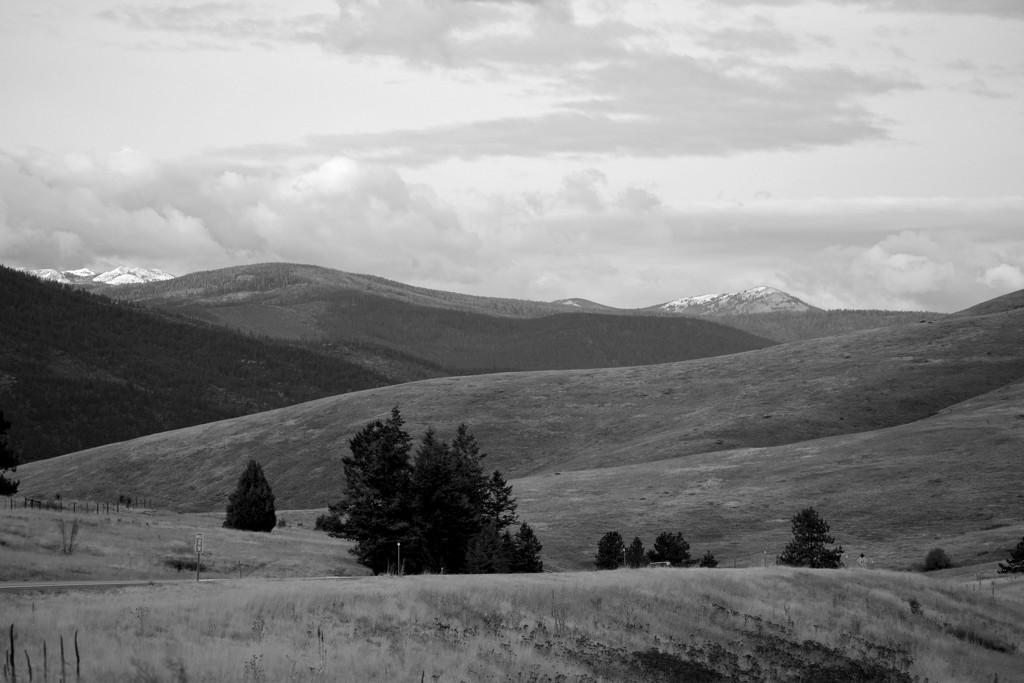 FOR2021 - Rolling Hills of Western Montana by bjywamer