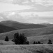 FOR2021 - Rolling Hills of Western Montana by bjywamer