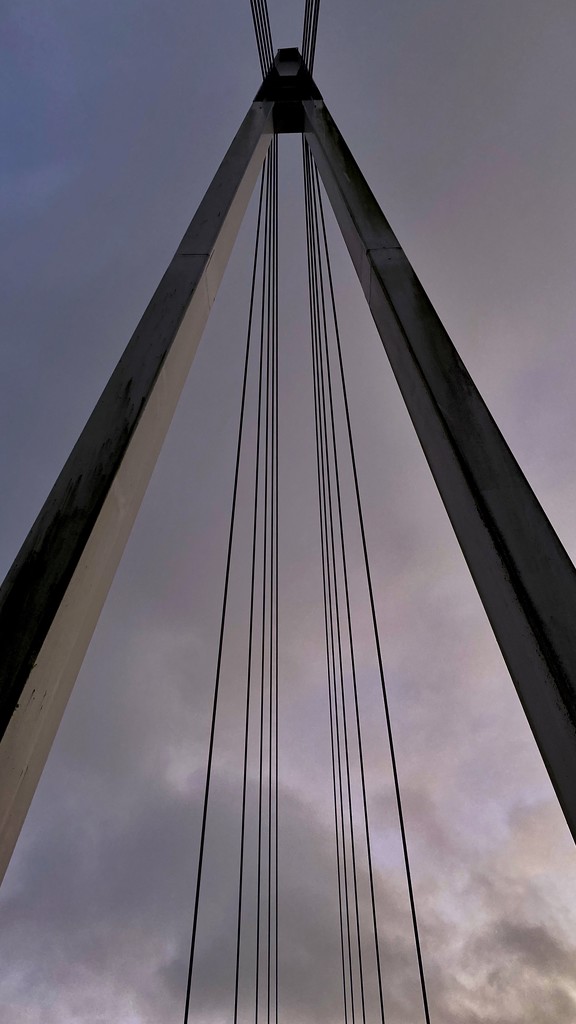 Suspension bridge  by mollw