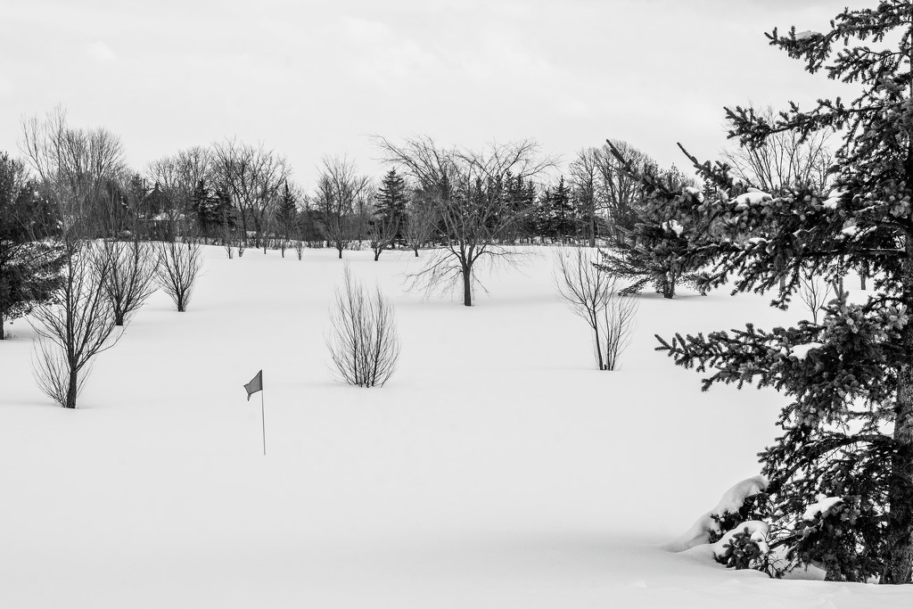 Winter Golf Course, Bring Shovel ... by farmreporter