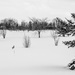 Winter Golf Course, Bring Shovel ... by farmreporter