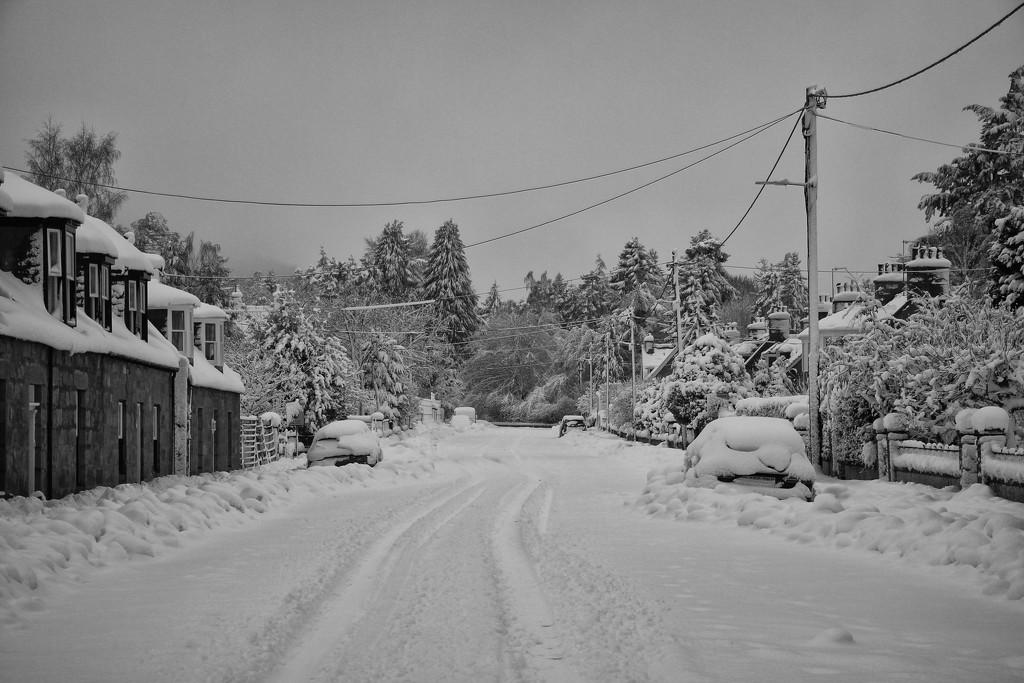 Queen's Road, Ballater by jamibann
