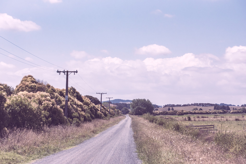 Lonely Road by nickspicsnz