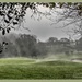 Rising Mist On The Golf Course by carolmw