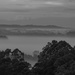 a misty morning by koalagardens