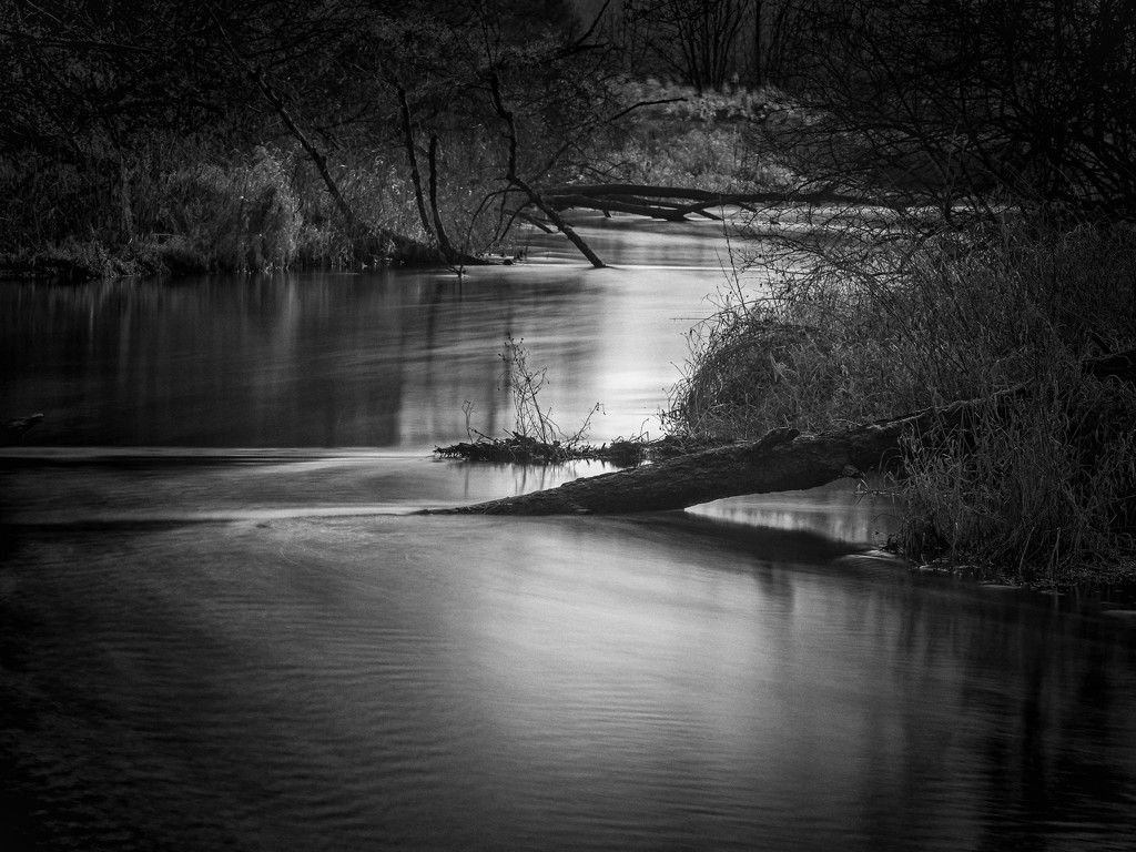 By the river by haskar