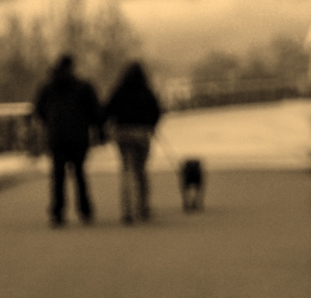 Out of Focus - Couple & Dog by granagringa