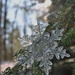 Day 35: HOLY Snowflake ! by jeanniec57