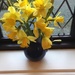 Daffodils  by snowy