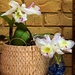 Cattleya Orchids ~ by happysnaps
